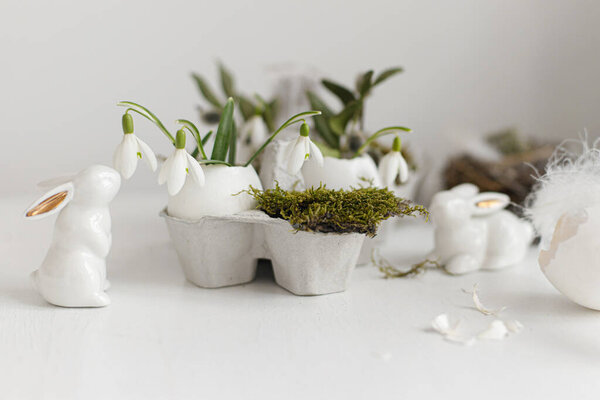 Easter egg shells with blooming snowdrops, bunny figurines, feathers, nest on aged white wooden table. Easter rustic still life. Simple stylish festive decoration on table. Happy Easter!