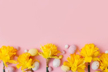 Renkli Paskalya çikolatası yumurtaları ve nergis çiçekleri pembe arka planda. Mutlu Paskalyalar! Havalı Paskalya yatağı. Tebrik kartı veya pankart şablonu