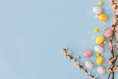 Paskalya düzlüğü, yazı için yeri vardı. Mavi arka planda kiraz çiçekleri olan renkli Paskalya çikolataları. Mutlu Paskalyalar! Yumuşak bir bahar şablonu. Tebrik kartı ya da afiş