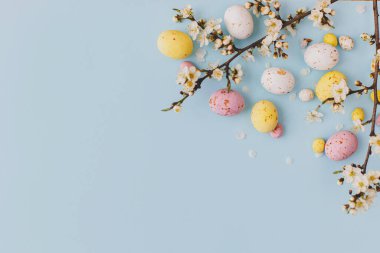 Paskalya düzlüğü, yazı için yeri vardı. Mavi arka planda kiraz çiçekleri olan renkli Paskalya çikolataları. Mutlu Paskalyalar! Yumuşak bir bahar şablonu. Tebrik kartı ya da afiş