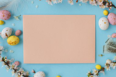 Paskalya tebrik kartı maketi. Renkli Paskalya çikolatası yumurtaları, kiraz çiçekleri, tüyler ve boş kart dairesi mavi arka planda yatıyordu. Mutlu Paskalyalar! Kartpostal şablonu