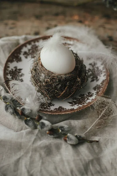 Natural Egg Nest Feathers Vintage Plate Pussy Willow Branches Napkin — Stockfoto