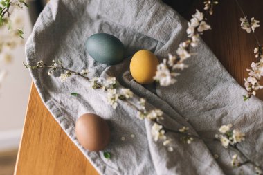 Kırsal masada kiraz çiçekli paskalya yumurtaları. Mutlu Paskalyalar! Çarşaf peçetesine doğal renkli yumurtalar ve kır evinde bahar çiçekleri. Kırsal kesimde hayat, üst kesimde manzara