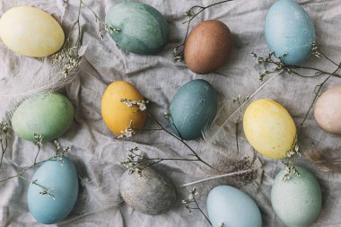Mutlu Paskalyalar! Paskalya yumurtaları yumuşak çiçekli kırsal çarşaf peçetesi üzerinde düz yatıyordu. Şık doğal boyalı pastel renkli yumurta, bahar çiçekleri ve tüy kompozisyonu. Kırsal yaşam