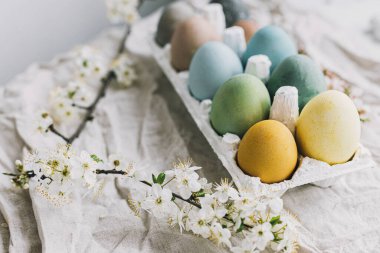 Mutlu Paskalyalar! Paskalya yumurtaları ve kiraz çiçekleri kırsal çarşaf kumaşında. Doğal renklerle boyanmış pastel yumurtalar tepside ve bahar çiçekleri kırsal masada. Kırsal kesimde hayat