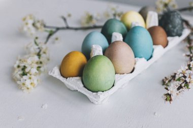 Paskalya yumurtaları ve kiraz çiçekleri taşralı beyaz ahşap arka planda. Mutlu Paskalyalar! Doğal renklerle boyanmış pastel yumurtalar tepside ve bahar çiçekleri kırsal masada. Kırsal kesimde hayat