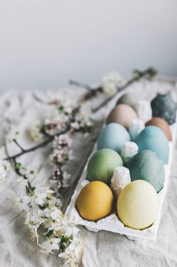 Mutlu Paskalyalar! Paskalya yumurtaları ve kiraz çiçekleri kırsal çarşaf kumaşında. Doğal renklerle boyanmış pastel yumurtalar tepside ve bahar çiçekleri kırsal masada. Kırsal kesimde hayat