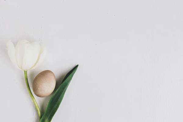 Stylové Velikonoční Vajíčko Tulipán Plochý Ležel Rustikální Bílé Dřevo Prostor — Stock fotografie
