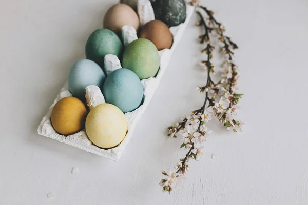 Stylová Velikonoční Vajíčka Třešňové Květy Rustikálně Bílém Dřevěném Pozadí Veselé — Stock fotografie