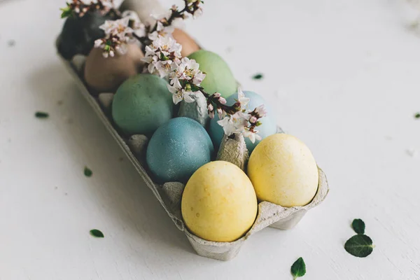 Stylish Easter Eggs Cherry Blossoms Rustic White Wooden Background Happy — Stock Photo, Image