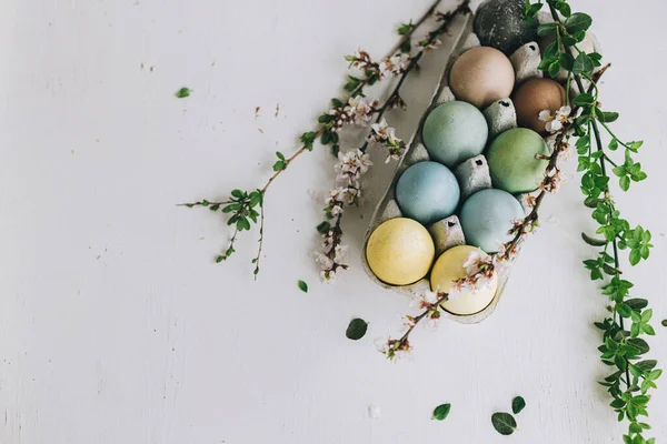 Paskalya yumurtaları ve kiraz çiçekleri taşralı beyaz ahşap arka planda. Mutlu Paskalyalar! Metin için yeri olan düz bir yer. Tepside doğal renkli yumurtalar ve kırsal masada bahar dalları.