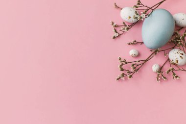 Mutlu Paskalyalar! Paskalya yumurtaları ve çiçekler düz pembe arka planda uzanıyordu. Modern doğal boyanmış mavi paskalya yumurtaları ve pembe üzerine beyaz çiçekler. Tebrik kartı şablonu