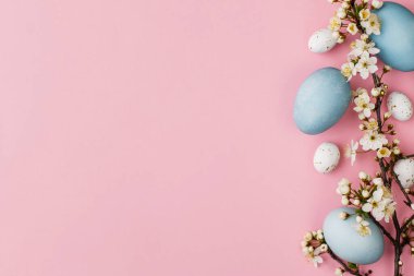 Paskalya yumurtaları ve çiçekler pembe arka planda düzdü. Modern doğal boyalı mavi yumurta ve kiraz çiçeği sınırı. Tebrik kartı şablonu, paskalya arkaplanı. Mesaj için yer var. Mutlu Paskalyalar!