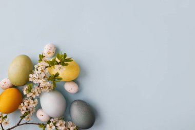 Şık paskalya yumurtaları, kiraz çiçekleri mavi arka planda yatıyordu. Modern doğal boyanmış paskalya yumurtaları, şeker ve beyaz çiçeklerin sınır çizimi. Mutlu Paskalyalar! Tebrik kartı, boşluk veya metin