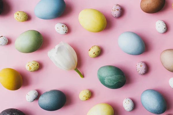 复活节作文 花柱蛋和郁金香平放在粉红的背景上 现代天然染色彩蛋和巧克力糖果组成粉红 问候卡 东方背景 — 图库照片