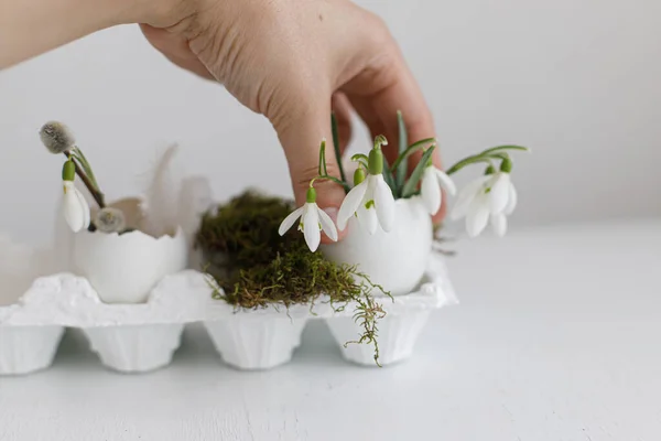 木製のテーブルの背景に開花の雪滴と手を保持卵の殻 シンプルなスタイリッシュなお祝いの装飾 ハッピーイースター こんにちは春 — ストック写真