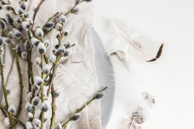 Modern Easter table decoration. Pussy willow branches and feathers on modern plate on napkin on white wooden table. Top view.  Easter still life