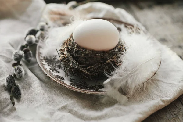 Natural Egg Nest Feathers Vintage Plate Pussy Willow Branches Napkin — Zdjęcie stockowe