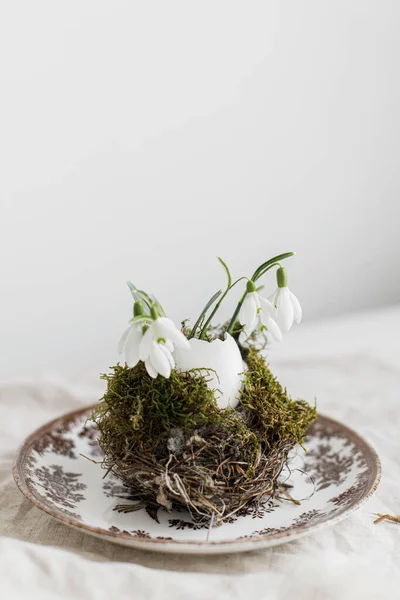 Stilvolle Oster Tischdekoration Natureier Mit Schneeglöckchen Nest Auf Vintage Teller — Stockfoto