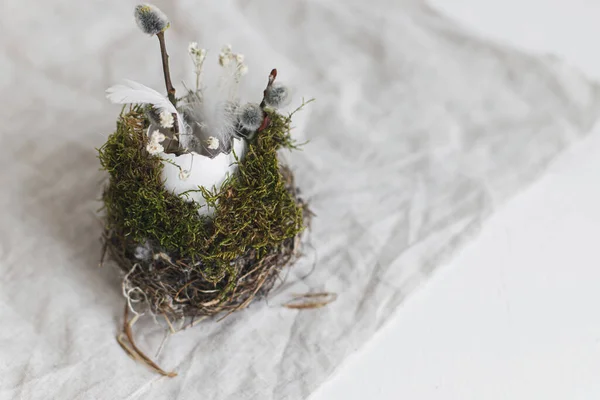 Easter Rustic Still Life Easter Egg Shells Pussy Willow Branches —  Fotos de Stock