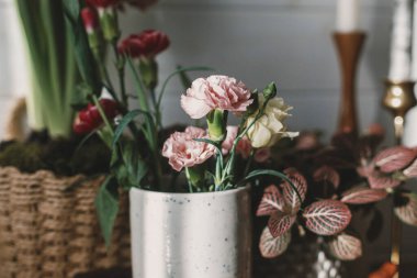 Ahşap rafta güneş ışığında güzel bir bahar buketi. Boho odasında pembe karanfil ve bitkiler, şık bir dekor.