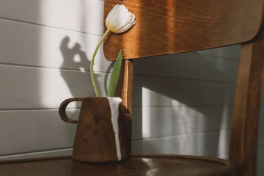 Bahar minimalist estetiği. Modern seramik çaydanlıktaki şık beyaz lale kırsal ahşap sandalyede ve güneş ışığında el gölgesi. Çiçekli seramik vazo ve güneşli odada çiçekçi gölgesi.