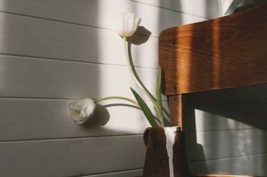 Modern seramik çaydanlıktaki şık beyaz laleler kırsal ahşap sandalyede güneş ışığında. Bahar minimalist estetiği. Çiçekli seramik vazo ve güneşli odada gölgeler.