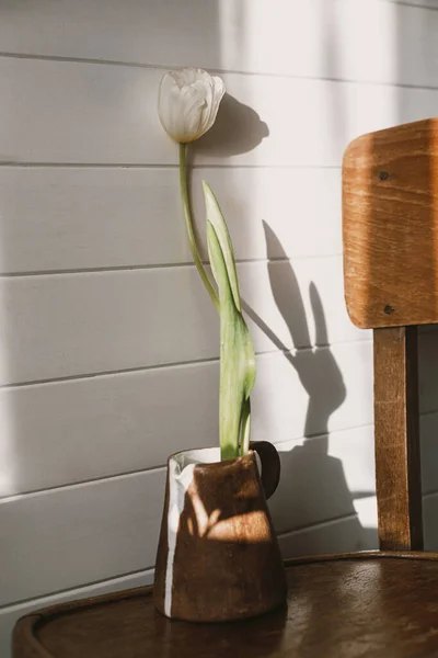 Stilvolle Weiße Tulpe Modernem Keramikkessel Sonnenlicht Auf Rustikalem Holzstuhl Frühling — Stockfoto