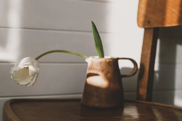 Tulip Putih Bergaya Dalam Ketel Keramik Modern Bawah Sinar Matahari — Stok Foto