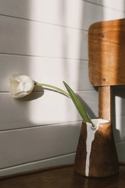 Elegante Tulipán Blanco Moderno Hervidor Cerámica Luz Del Sol Una — Foto de Stock