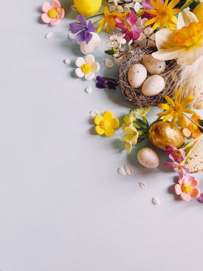 Mutlu Paskalyalar! Yuvada zarif paskalya yumurtaları, tüyler, mavi arka planda bahar renkli çiçekler. Metin için yeri olan düz bir yer. Sezonun tebrik kartı. Dikey mobil fotoğraf