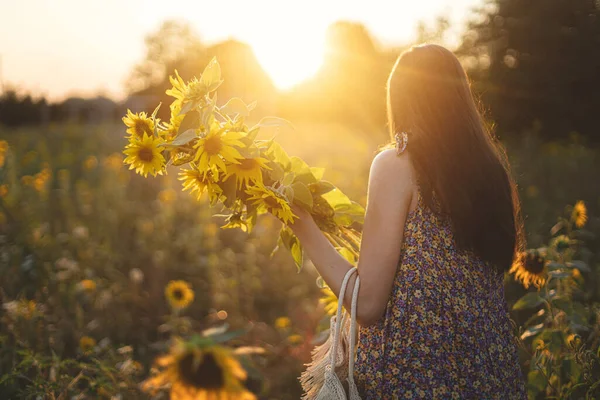 Beautiful Woman Gathering Sunflowers Warm Sunset Light Summer Meadow Stylish — стоковое фото