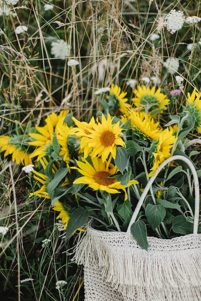 Bunga Matahari Yang Indah Dalam Kantong Jerami Padang Rumput Musim — Stok Foto