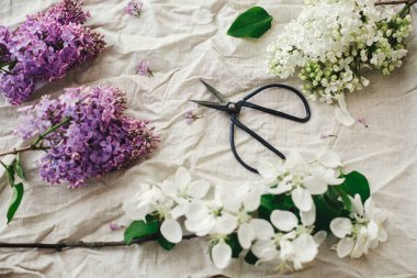 Güzel leylak çiçekleri, elma çiçekleri, keten kumaşta makas ve taç yaprakları. Kırsal alanda bahar çiçekleri hala hayat dolu. Anneler günün kutlu olsun.