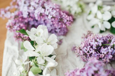 Güzel leylak çiçekleri, elma çiçekleri ve keten kumaşta taç yaprakları. Kırsal alanda bahar çiçekleri hala hayat dolu. Taç yaprakları kapanıyor. Anneler günün kutlu olsun.