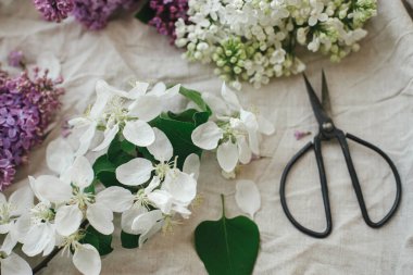 Güzel leylak çiçekleri, elma çiçekleri, keten kumaşın üzerinde makas ve taç yaprakları. Kırsal alanda bahar çiçekleri hala hayat dolu. Anneler günün kutlu olsun.