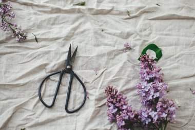 Keten kumaş üzerinde güzel leylak çiçekleri, makas ve taç yaprakları düz yerde. Kırsal alanda bahar çiçekleri hala hayat dolu. Anneler günün kutlu olsun.