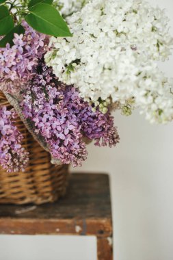 Tahta sandalyede hasır sepette güzel leylak çiçekleri. Mor ve beyaz leylak taç yaprakları, evde çiçek kompozisyonu. Kırsal kesimde bahar kırsalında hayat devam ediyor. Anneler günü ya da düğün
