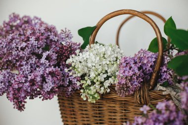 Tahta sandalyede hasır sepette güzel leylak çiçekleri. Kırsal kesimde bahar kırsalında hayat devam ediyor. Evde mor ve beyaz leylaklar var. Anneler günün kutlu olsun.