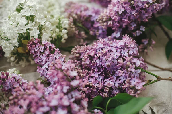 Keten kumaşta güzel leylak çiçekleri. Kırsal arka planda renkli mor ve beyaz leylak dalları. Bahar kırsalında hayat devam ediyor, çiçekli bir görüntü. Anneler günün kutlu olsun.