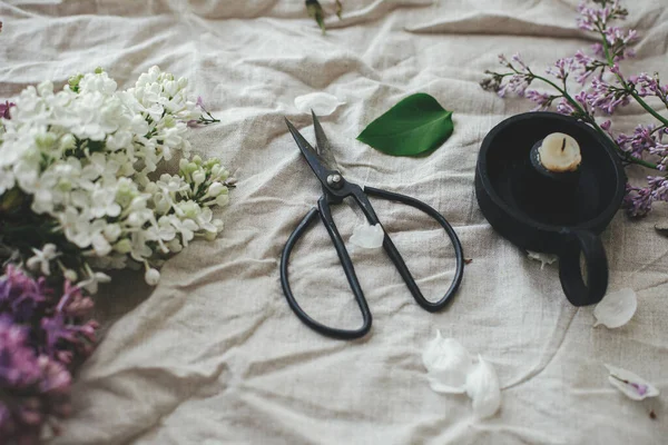Güzel leylak çiçekleri, makas, mum ve keten kumaş kompozisyonu üzerine taç yaprakları. Kırsal alanda bahar çiçekleri hala hayat dolu. Anneler günün kutlu olsun.