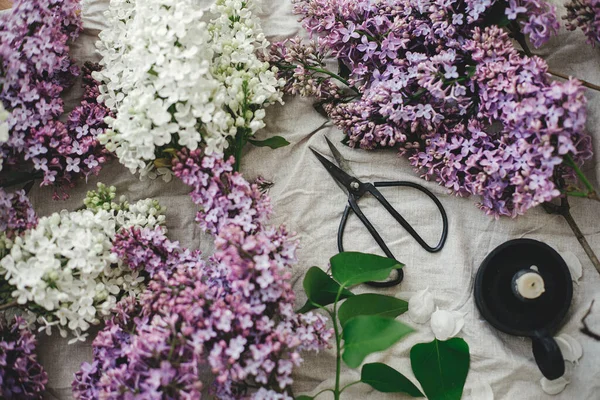 Keten kumaş üzerinde güzel leylak çiçekleri, makas, mum ve taç yaprakları. Kırsal alanda bahar çiçekleri hala hayat dolu. Anneler günün kutlu olsun.