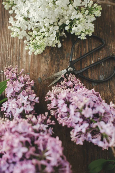 Beautiful Lilac Flowers Scissors Wooden Chair Spring Floral Still Life —  Fotos de Stock