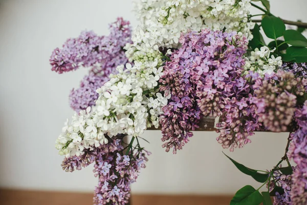 Hermosas Flores Lila Silla Madera Bodegón Floral Primavera Sobre Fondo —  Fotos de Stock