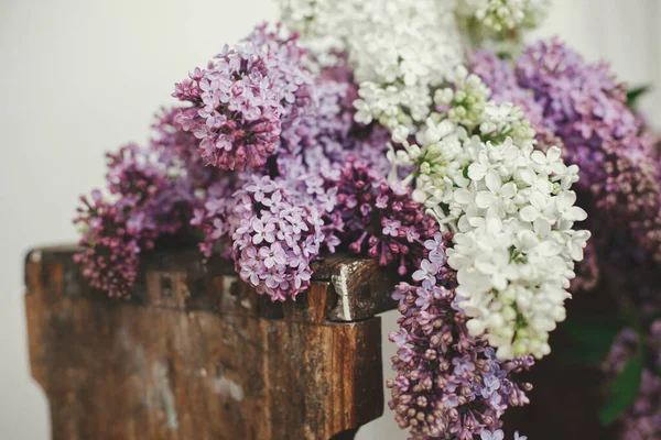 Prachtige Lila Bloemen Houten Stoel Bloemblaadjes Dicht Lente Bloemstilleven Rustieke — Stockfoto