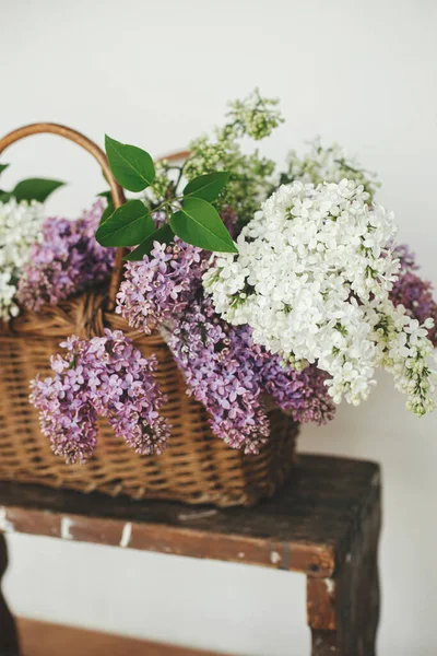Beautiful Lilac Flowers Wicker Basket Wooden Chair Purple White Lilacs — Stock Photo, Image