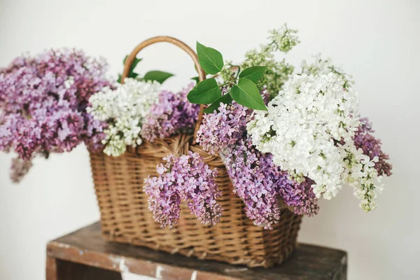 Beautiful Lilac Flowers Wicker Basket Wooden Chair Spring Rustic Still — Stock Photo, Image