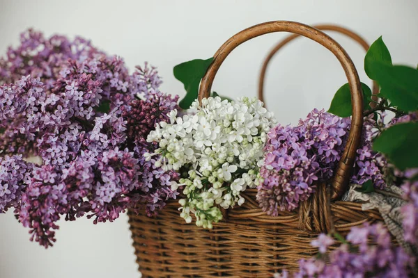 Tahta sandalyede hasır sepette güzel leylak çiçekleri. Kırsal kesimde bahar kırsalında hayat devam ediyor. Evde mor ve beyaz leylaklar var. Anneler günün kutlu olsun.