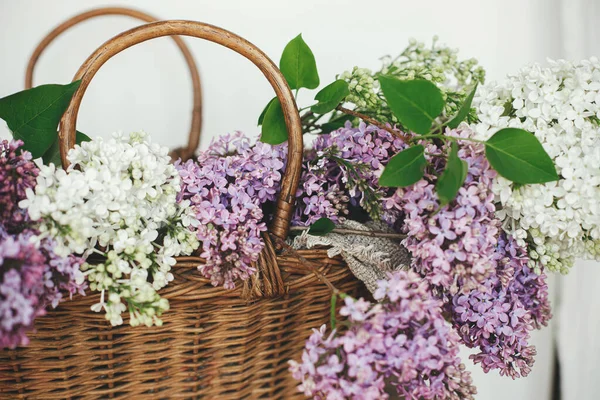 Prachtige Lila Bloemen Rieten Mandje Houten Stoel Lente Rustieke Stilleven — Stockfoto