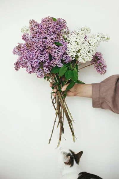 Hand Met Mooie Lila Bloemen Schattige Kat Ruikende Takken Tegen — Stockfoto